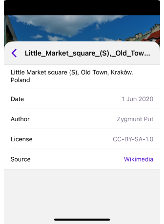 iOS – Detailweergave