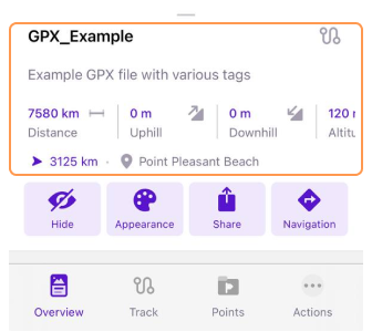 Visão geral do painel de informações iOS