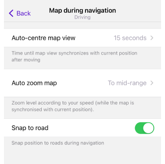 Kartenbild während der Navigation