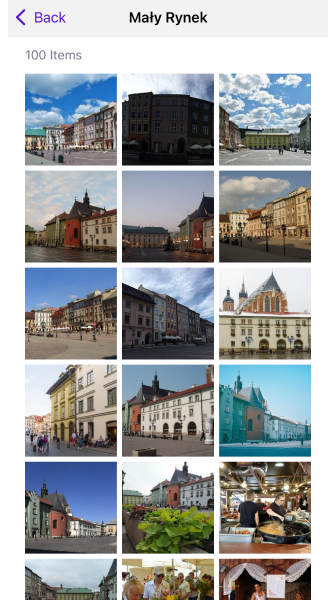 Galerie-Menü iOS