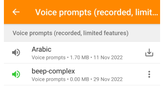 Impostazioni navigazione vocale Android
