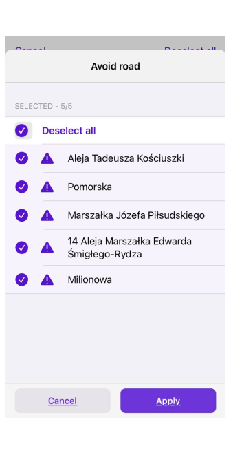 Evita strada sulla mappa esporta iOS 2