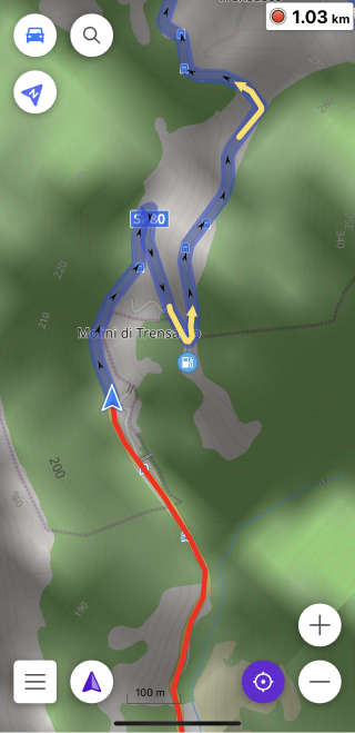 Viaggio registrato in iOS